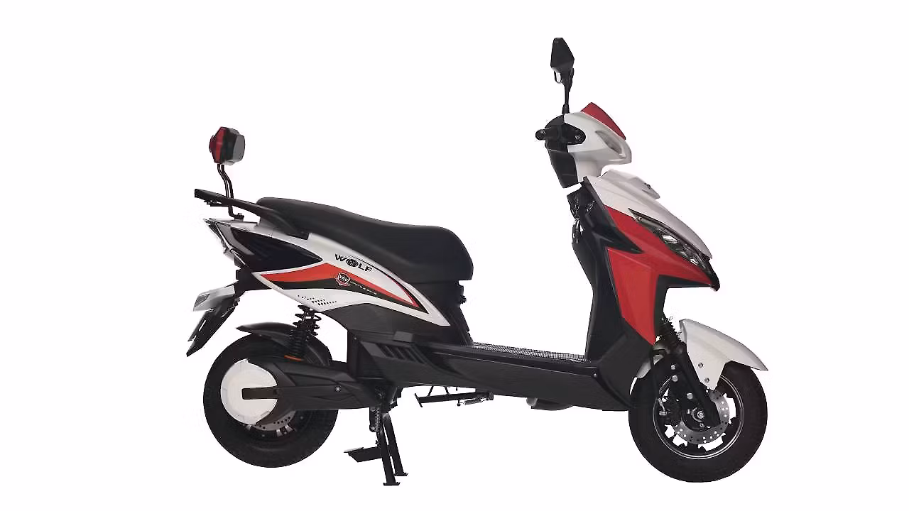 Joy e-bike Wolf