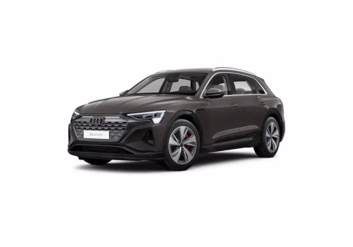 Audi Q8 e-tron thumbnail 30