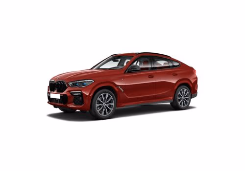 BMW X6 thumbnail 19