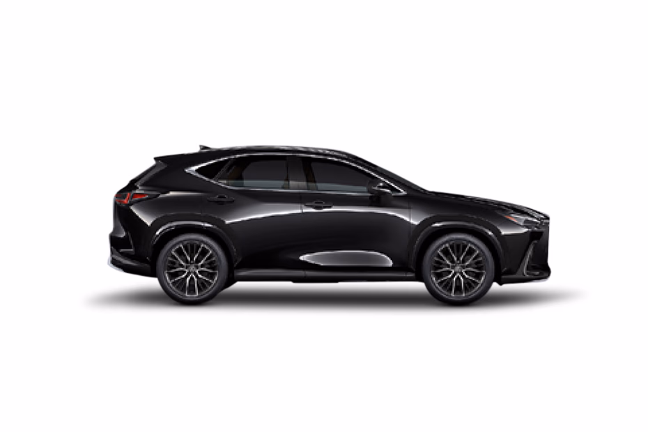 Lexus NX thumbnail 16