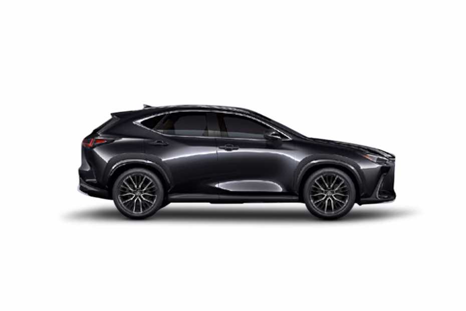 Lexus NX thumbnail 14