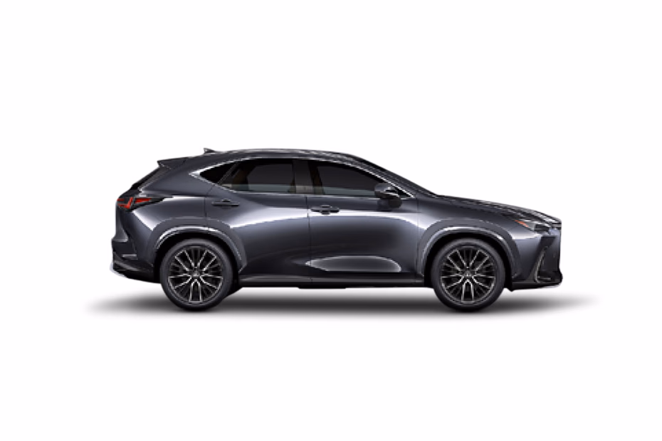 Lexus NX thumbnail 19