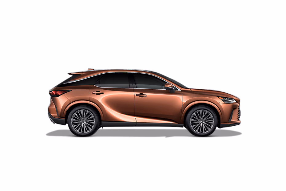 Lexus RX thumbnail 18